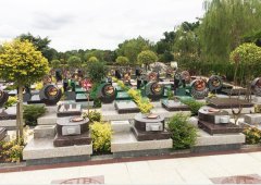 上；懔靶腔鹎