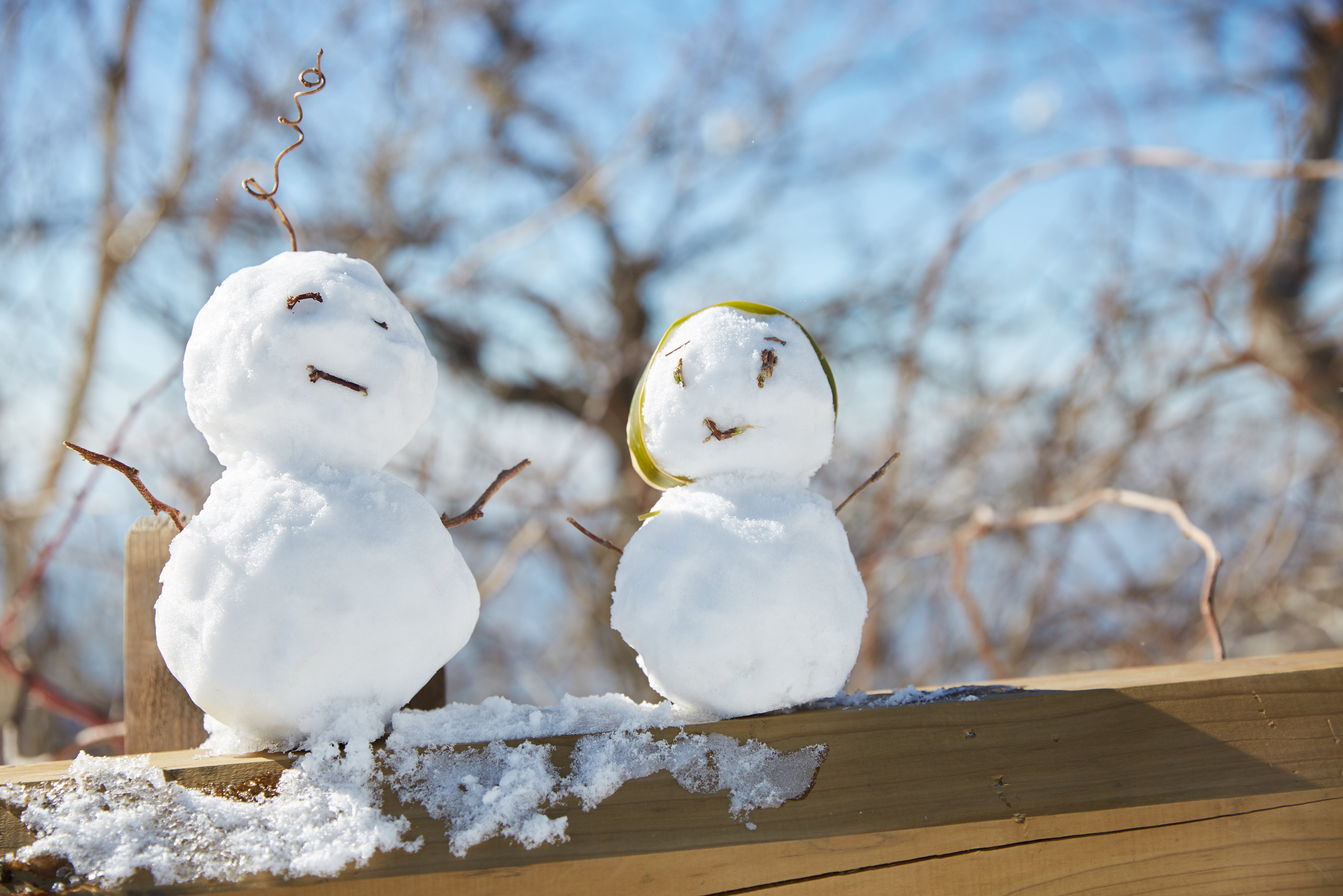 冬至，暖“杨”相伴 | 尊龙人生就是搏人全力配合各墓园冬至落葬