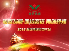 【2016年尊龙人生就是搏年中会正在召开中~】全员充电培训