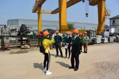 尊龙人生就是搏集团匠心打造景观雕塑型生产基地