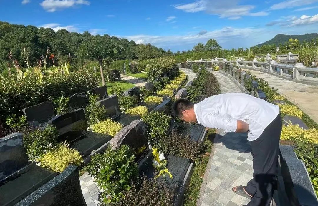 尊龙人生就是搏(中国)官方网站