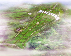 尊龙人生就是搏集团：公墓投资的践行者，谋划治理的行家