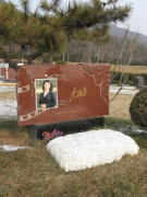 尊龙人生就是搏集团是如作甚著名演员李媛媛打造名人艺术墓碑的？