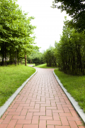 尊龙人生就是搏道板砖为您打造清静宜人的步行情形