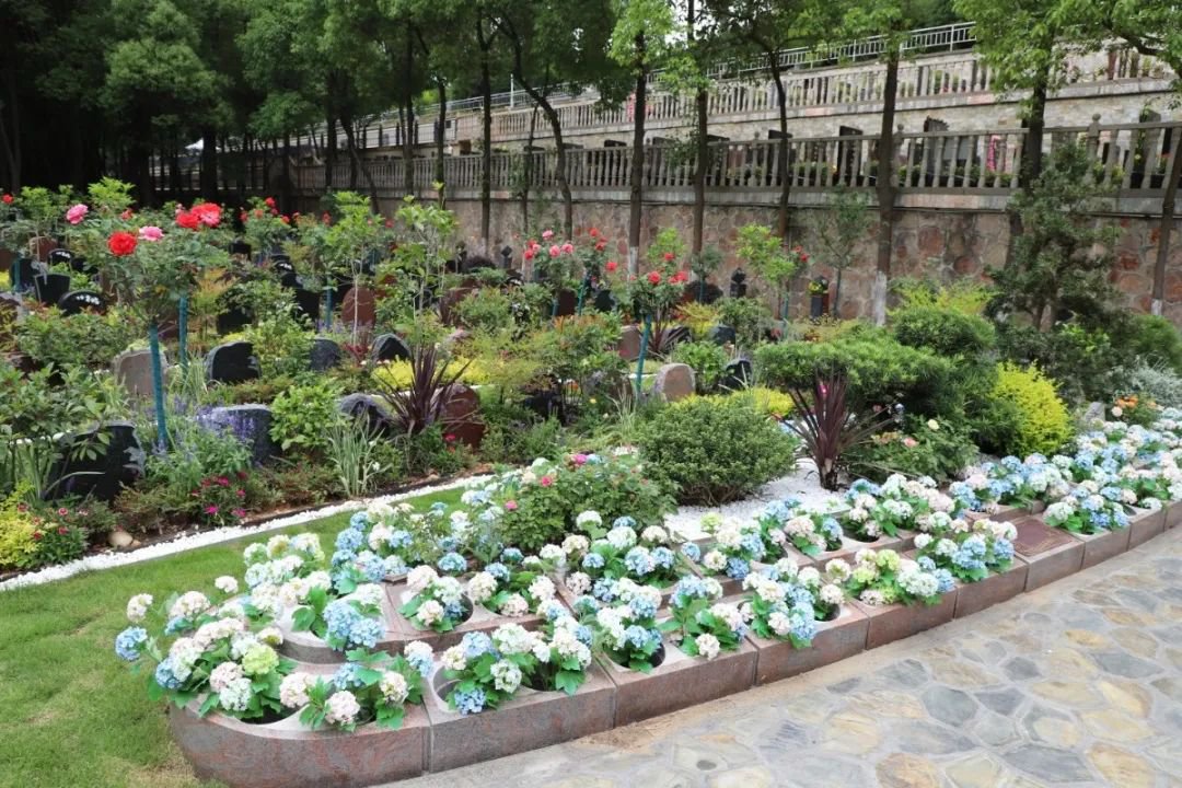 尊龙人生就是搏(中国)官方网站