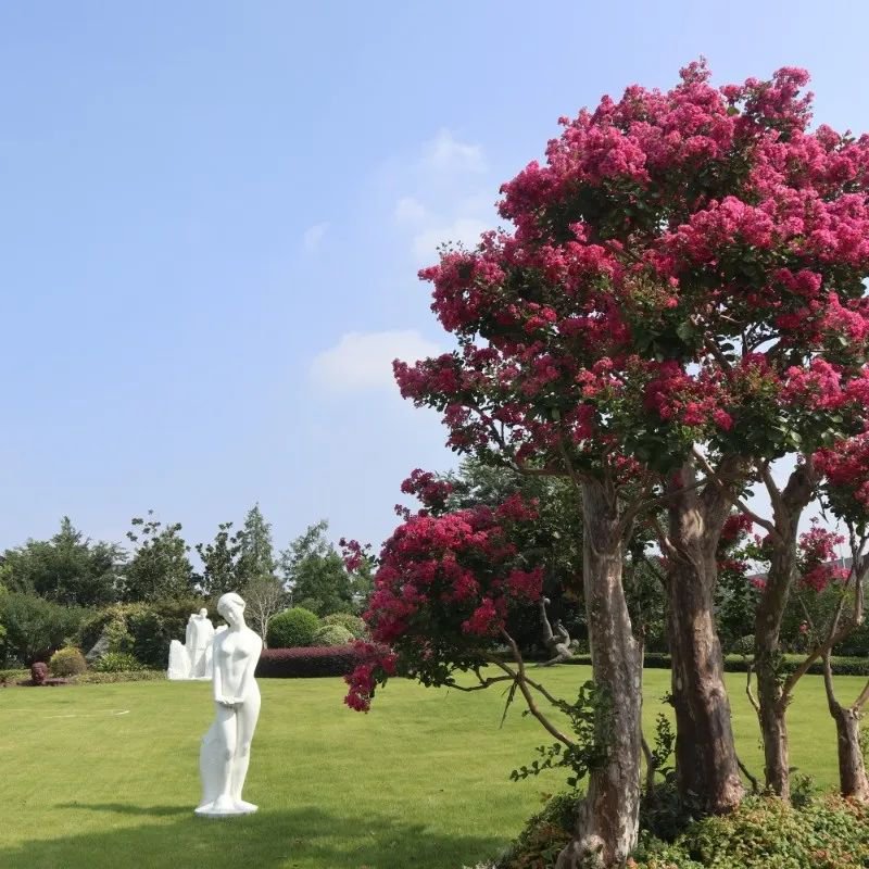 尊龙人生就是搏(中国)官方网站